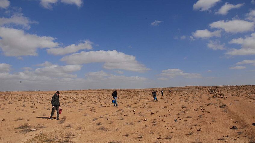 Forscherinnen und Forscher der Universität Wien auf einem Feld beim Survey in Jordanien (Foto: Universität Wien 2015 | CC BY 4.0)